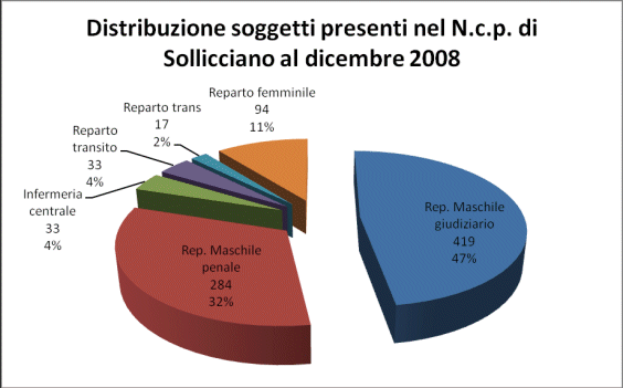 Distribuzione soggetti presenti nel N.c.p. di Sollicciano al dicembre 2008